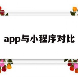 app与小程序对比(app和小程序的差异性)