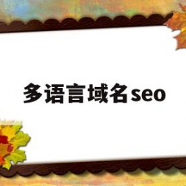 多语言域名seo(多语言站点发布产品时,关键词最多可以填写1个)