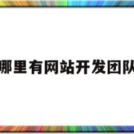 哪里有网站开发团队(哪里有网站可用性监控)