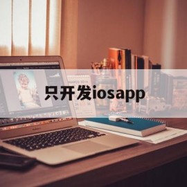 只开发iosapp(只开发成本管理系统而不进行整个财务系统的开发)