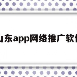 山东app网络推广软件(山东很多网络推广公司诈骗)