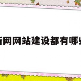 新网网站建设都有哪些(新网网站建设都有哪些公司)