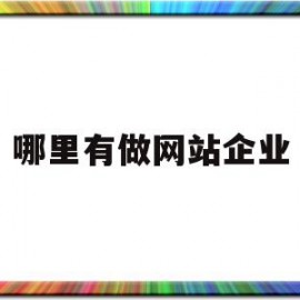 哪里有做网站企业(做网站哪家公司比较好而且不贵)