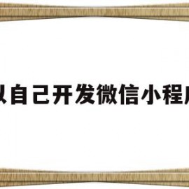 可以自己开发微信小程序码(自己能开发小程序吗)