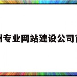 郑州专业网站建设公司首选(郑州企业网站建设公司)