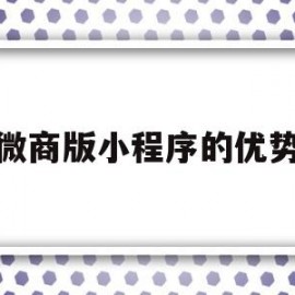 微商版小程序的优势(微商版小程序的优势有哪些)