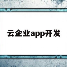 云企业app开发(云企业官网新手入门)