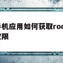 手机应用如何获取root权限(手机应用如何获取root权限密码)