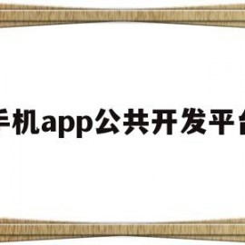 手机app公共开发平台(手机app公共开发平台有哪些)