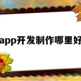 app开发制作哪里好(app软件开发制作公司)