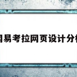 网易考拉网页设计分析(网易考拉网页设计分析报告)