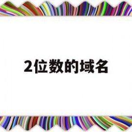 2位数的域名(2位数域名续费)