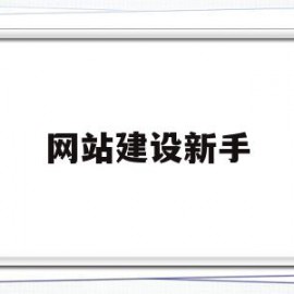 网站建设新手(网站建设初期需要做些什么)