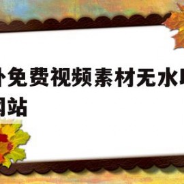 国外免费视频素材无水印素材网站(15个国外最佳免费视频素材网站)