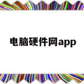 电脑硬件网app(电脑硬件网卡损坏怎么能看出来)