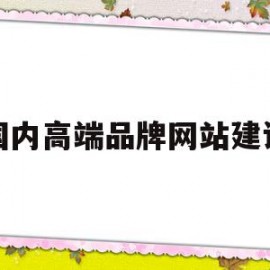 国内高端品牌网站建设(国内高端汽车品牌排行榜)