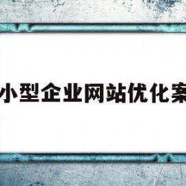 中小型企业网站优化案例(中小型企业网站优化案例分析)