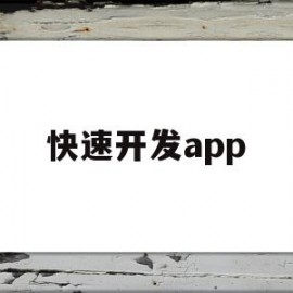 快速开发app(快速开发app框架)