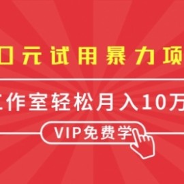 0元试用暴力项目：一个员工每天佣金单500到1000，工作室月入10万+