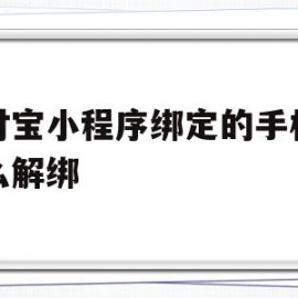 支付宝小程序绑定的手机号怎么解绑(支付宝小程序绑定了手机号如何取消)