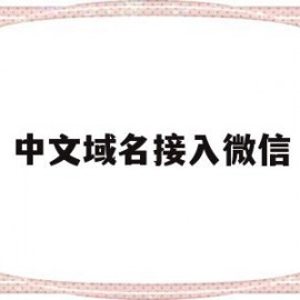 中文域名接入微信(中文域名 https)