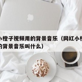 网红小橙子视频用的背景音乐（网红小橙子视频用的背景音乐叫什么）