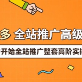 拼多多全站推广高级实操：从破零开始全站推广整套高阶实操玩法