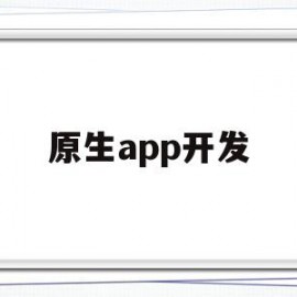 原生app开发(原生app开发框架)