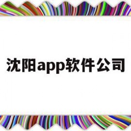 沈阳app软件公司(沈阳app软件公司排名)