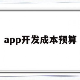 app开发成本预算(app开发成本预算模板)