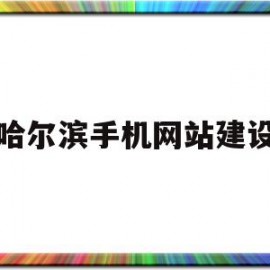 哈尔滨手机网站建设(哈尔滨 手机)