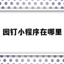 园钉小程序在哪里(园钉教育平台怎样能查到自己孩子的成绩)