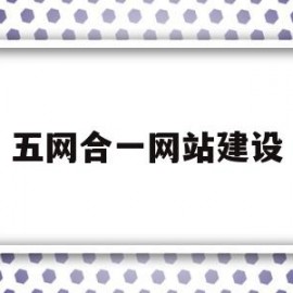 五网合一网站建设(五网建设项目是哪五网)