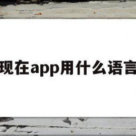 现在app用什么语言(现在app用什么语言写代码)