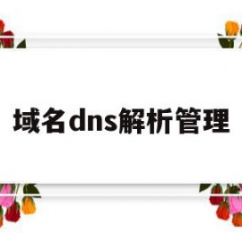 域名dns解析管理(域名解析dns工作原理)