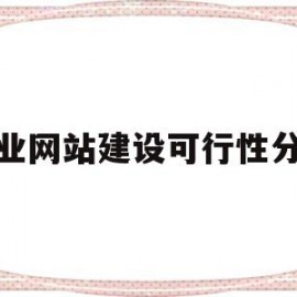 企业网站建设可行性分析(企业网站建设可行性分析怎么写)