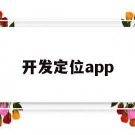 开发定位app(开发定位软件构成犯罪)