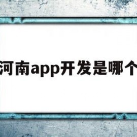 河南app开发是哪个(河南app软件开发有用吗)