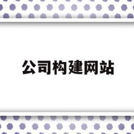 公司构建网站(公司构建网站的目的)