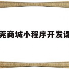 东莞商城小程序开发课程(东莞市小程序电子商务有限公司)