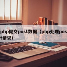 php提交post数据（php处理post请求）