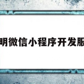 昆明微信小程序开发服务(昆明微信小程序开发服务平台)