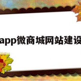 app微商城网站建设(app微商城主页)