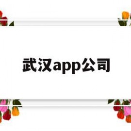 武汉app公司(武汉做app的公司)