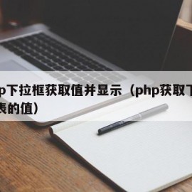 php下拉框获取值并显示（php获取下拉列表的值）