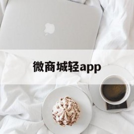 微商城轻app(微商城首页)