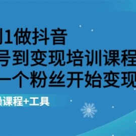 从0到1做抖音 从起号到变现培训课程 从第一个粉丝开始变现，实操课程+工具