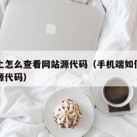 手机上怎么查看网站源代码（手机端如何查看网页源代码）