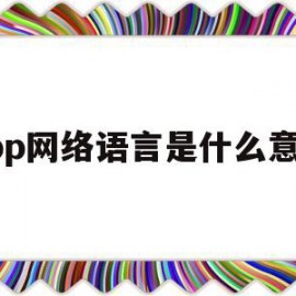 app网络语言是什么意思(app网络语言是什么意思呀)