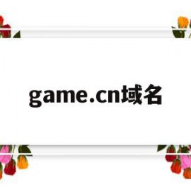 game.cn域名(cn域名whois查询)